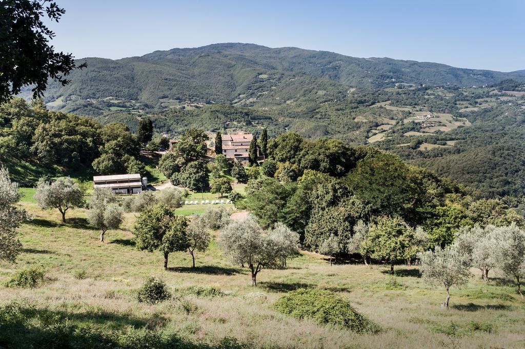 Agriturismo Di Baroni Enzo Dicomano Екстериор снимка