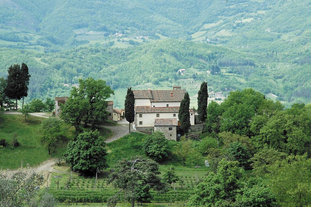 Agriturismo Di Baroni Enzo Dicomano Екстериор снимка